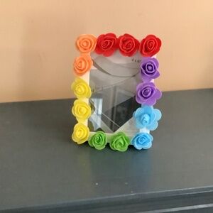 4” x 6” multi colored rainbow real touch rosebud picture frame